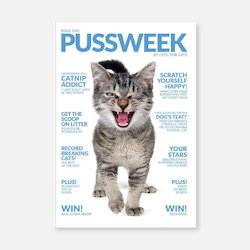 Pussweek: Pussweek - Issue 1