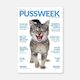 Pussweek - Issue 1