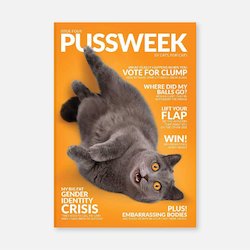 Pussweek: Pussweek - Issue 4