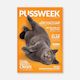Pussweek - Issue 4