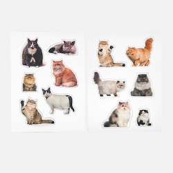 For Humans: Cat Magnets - Fat Cats Set of 12