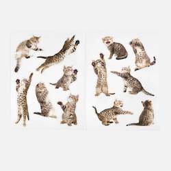 For Humans: Cat Magnets - Action Cats Set of 12