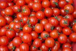 Farm produce or supplies wholesaling: Tomatoes â Cherry Punnet - 250g