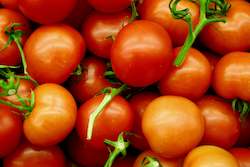Farm produce or supplies wholesaling: Tomatoes
