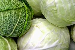 Farm produce or supplies wholesaling: Cabbage