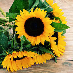 Flower: Sunflowers