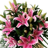Florist: Pink Lily Bouquet