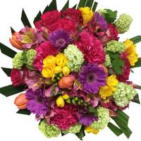 Colourful Bright Mix Flowers