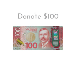 Basics: Donate $100 | Forward Foundation