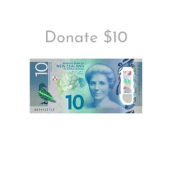 Basics: Donate $10 | Forward Foundation