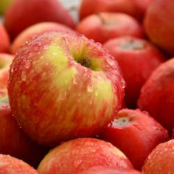Seasonal Fruit: Seasonal Apples