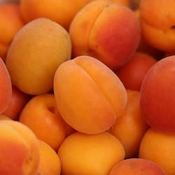 Seasonal Fruit: Seasonal Apricots