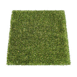 Replacement Grass for PupGo 55 Cat