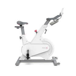 Xiaomi YESOUL M1 Spin Bike magnetic control ultra-quiet exercise bike indoor fit…