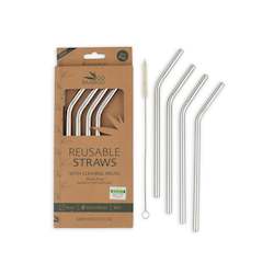 Stainless Steel Straws - 4 Pack