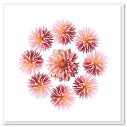Gift: Pink Dahlia Circle Greeting Card