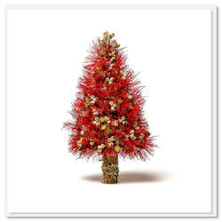 Christmas Greeting Card - Pohutukawa Tree