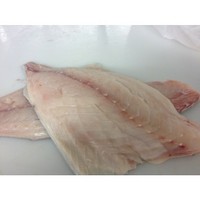 Products: White warehou skin off bone out fillets