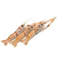 Products: Scampi, whole No.1