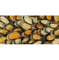 Products: Mussels, half shell (frozen)
