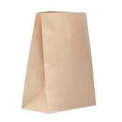 Paper Bags: Checkout Bag - Large