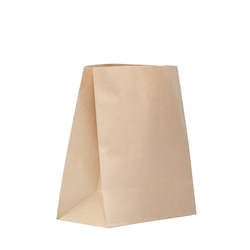 Paper Bags: Checkout Bag - Medium