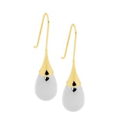 Jewellery: Ellani Steel & Gold Two-Tone Drop Earrings