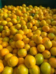 5kg Box of Fresh Lemons