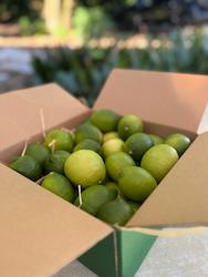 Frontpage: 3KG Premium Fresh Limes