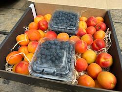 Apricots + Blueberries Mixed Box