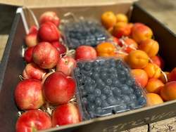 Frontpage: Apricot + Nectarines + Blueberries Mixed Box