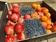 Apricot + Nectarines + Blueberries Mixed Box