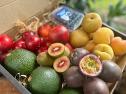 Frontpage: 6kg Seasonal Fruit Box - SUBSCRIPTION ONLY