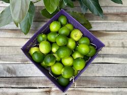2KG Premium Fresh Limes