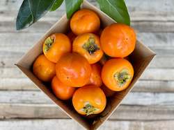 Frontpage: 5KG Persimmons Box