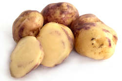 MÄori Potato âHuakaroroâ