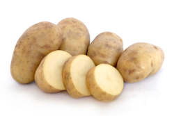Potato âCliff Kidneyâ
