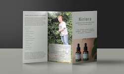 Graphic Design Branding Services: Tri-fold brochure design double sided