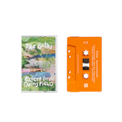 The Beths – Expert In A Dying Field Cassette (Orange)