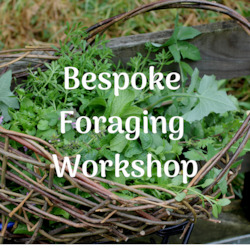 Bespoke Foraging Session - Private Group