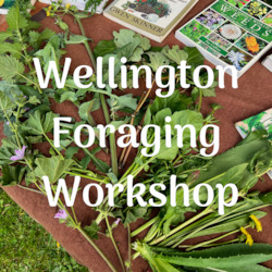 Foraging Workshops: Wellington Foraging Workshops
