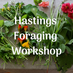 Foraging Workshops: Hastings Foraging Workshop