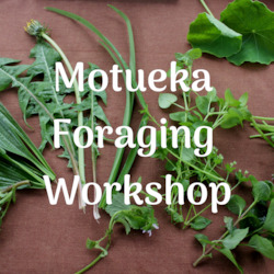 Motueka Foraging Workshop