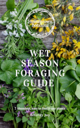 Wet Season Foraging Guide