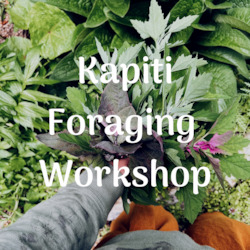 Foraging Workshops: Kapiti Urban Foraging Workshops