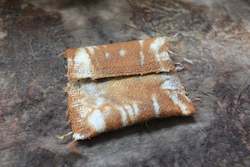 Wild Mini ~ Lichen Medicine Pouch