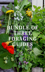 Foraging Workshops: BUNDLE of 3 x Foraging Guides
