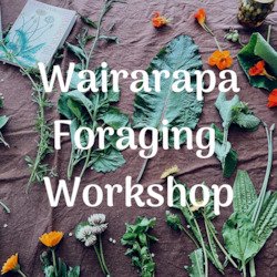 Wairarapa Foraging Workshop