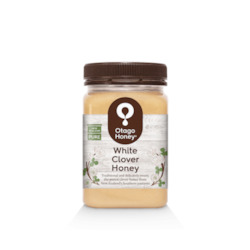 Wholesale trade: White Clover Honey | 500g