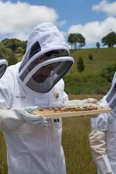 Apiarist: Hunt and Gather Beekeeping Experiences
